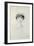 Portrait of Anna de Noailles (1876-1933)-Paul Cesar Helleu-Framed Giclee Print