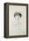 Portrait of Anna de Noailles (1876-1933)-Paul Cesar Helleu-Framed Premier Image Canvas