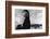 Portrait of Artist Georgia O'Keeffe Sitting on the Roof of Her Ghost Ranch Home-John Loengard-Framed Photographic Print