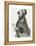 Portrait of Augusta Ada King-Alfred-edward Chalon-Framed Premier Image Canvas