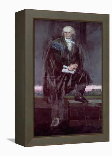 Portrait of Beethoven-Barry Fantoni-Framed Premier Image Canvas