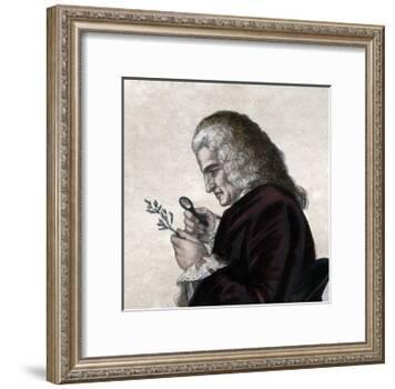 Portrait of Bernard de Jussieu (1699-1777), French naturalist-French School-Framed Giclee Print