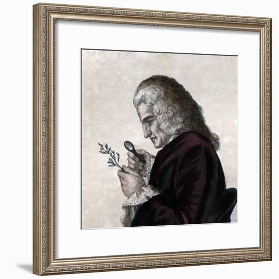 Portrait of Bernard de Jussieu (1699-1777), French naturalist-French School-Framed Giclee Print