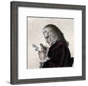 Portrait of Bernard de Jussieu (1699-1777), French naturalist-French School-Framed Giclee Print