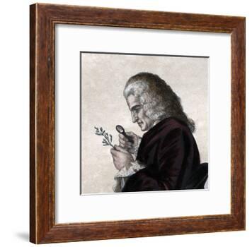 Portrait of Bernard de Jussieu (1699-1777), French naturalist-French School-Framed Giclee Print