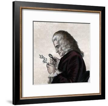 Portrait of Bernard de Jussieu (1699-1777), French naturalist-French School-Framed Giclee Print