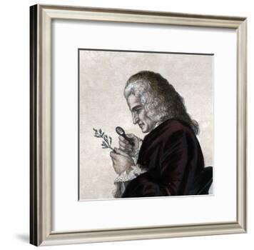 Portrait of Bernard de Jussieu (1699-1777), French naturalist-French School-Framed Giclee Print