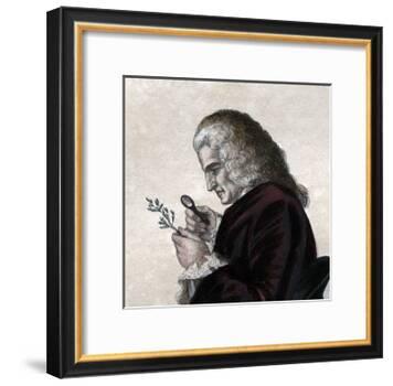Portrait of Bernard de Jussieu (1699-1777), French naturalist-French School-Framed Giclee Print