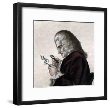 Portrait of Bernard de Jussieu (1699-1777), French naturalist-French School-Framed Giclee Print
