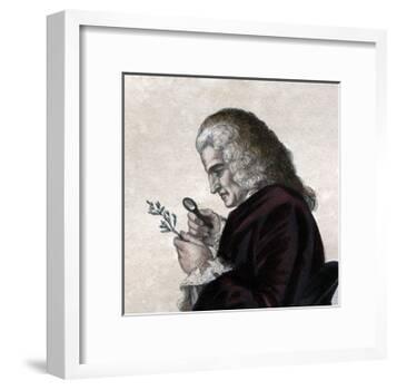 Portrait of Bernard de Jussieu (1699-1777), French naturalist-French School-Framed Giclee Print