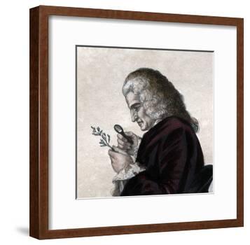 Portrait of Bernard de Jussieu (1699-1777), French naturalist-French School-Framed Giclee Print