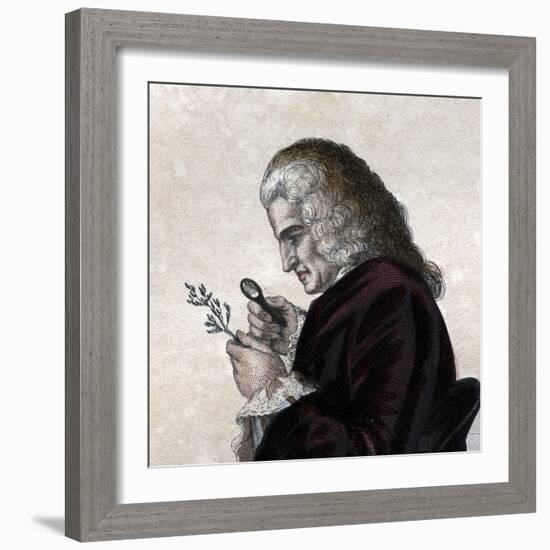 Portrait of Bernard de Jussieu (1699-1777), French naturalist-French School-Framed Giclee Print