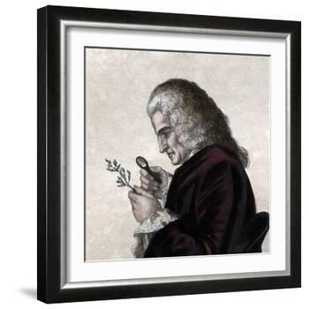 Portrait of Bernard de Jussieu (1699-1777), French naturalist-French School-Framed Giclee Print