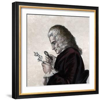 Portrait of Bernard de Jussieu (1699-1777), French naturalist-French School-Framed Giclee Print