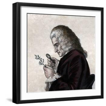 Portrait of Bernard de Jussieu (1699-1777), French naturalist-French School-Framed Giclee Print