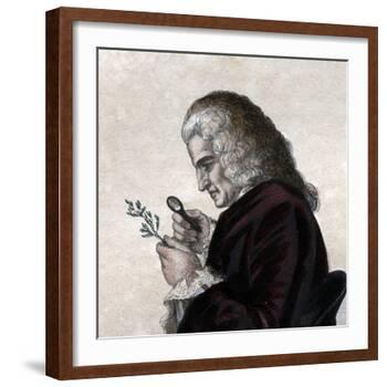 Portrait of Bernard de Jussieu (1699-1777), French naturalist-French School-Framed Giclee Print