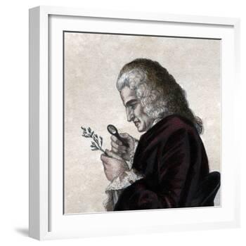 Portrait of Bernard de Jussieu (1699-1777), French naturalist-French School-Framed Giclee Print