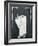 Portrait of Beryl Bainbridge, illustration for 'Cosmopolitan', 1970s-Barry Fantoni-Framed Giclee Print