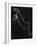 Portrait of Blackie, Gjon Mili's Cat-Gjon Mili-Framed Photographic Print