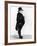 Portrait of British Banker Nathan Meyer Rothschild-null-Framed Photographic Print