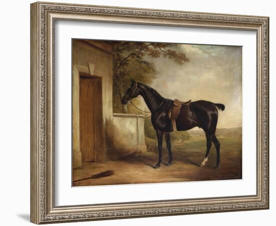 Portrait of Buckle, First Lord Chesham's Hunter, 1836-John E. Ferneley-Framed Giclee Print