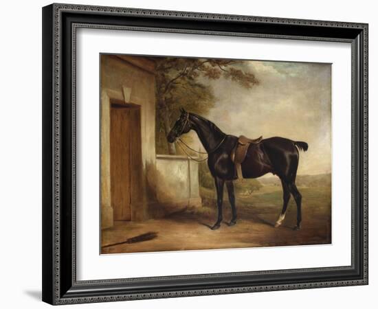 Portrait of Buckle, First Lord Chesham's Hunter, 1836-John E. Ferneley-Framed Giclee Print