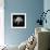 Portrait of Budgie Birds-Panoramic Images-Framed Photographic Print displayed on a wall