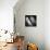 Portrait of Budgie Birds-Panoramic Images-Photographic Print displayed on a wall