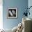 Portrait of Budgie Birds-Panoramic Images-Framed Photographic Print displayed on a wall