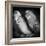 Portrait of Budgie Birds-Panoramic Images-Framed Photographic Print