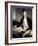 Portrait of Captain James Cook, 1775-76-Nathaniel Dance-Holland-Framed Giclee Print