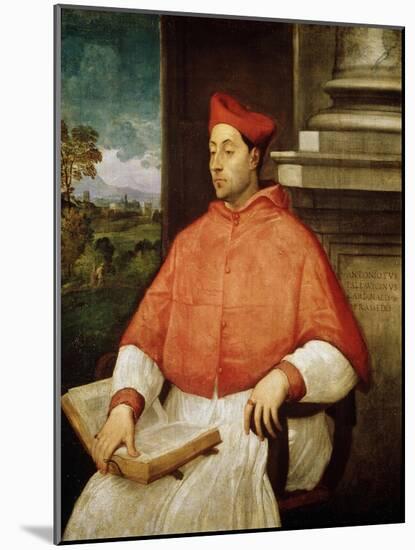 Portrait of Cardinal Antonio Pallavicini, (1441-150)-Titian (Tiziano Vecelli)-Mounted Giclee Print