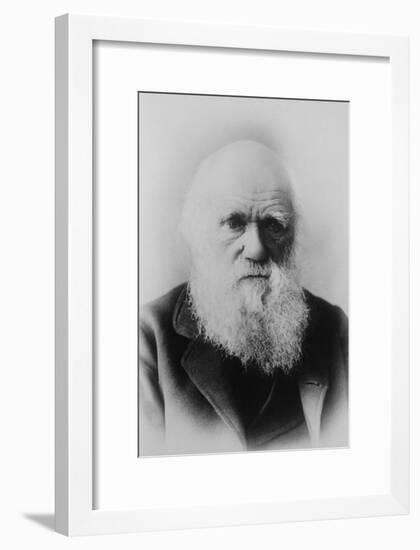 Portrait of Charles Darwin-null-Framed Art Print