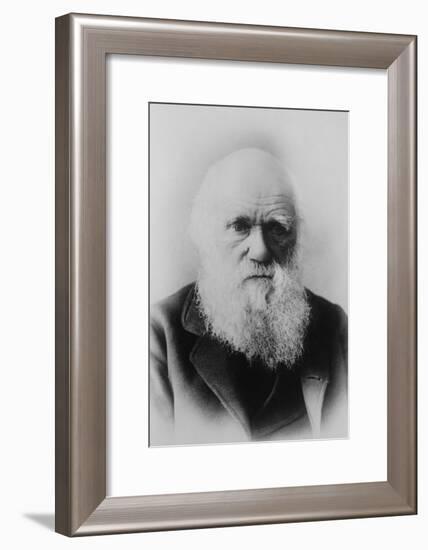 Portrait of Charles Darwin-null-Framed Art Print