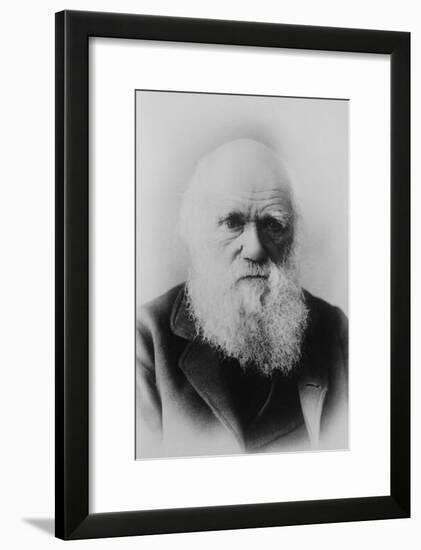 Portrait of Charles Darwin-null-Framed Art Print