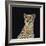 Portrait of Cheetah Sitting, Vector Illustration-Jan Fidler-Framed Photographic Print