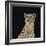 Portrait of Cheetah Sitting, Vector Illustration-Jan Fidler-Framed Photographic Print