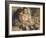 Portrait of Children, 1895-Pierre-Auguste Renoir-Framed Giclee Print