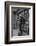 Portrait of Circuit Federal Judge Clement Haynsworth in His Home Office, Greenville, SC, 1969-Alfred Eisenstaedt-Framed Photographic Print