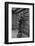 Portrait of Circuit Federal Judge Clement Haynsworth in His Home Office, Greenville, SC, 1969-Alfred Eisenstaedt-Framed Photographic Print