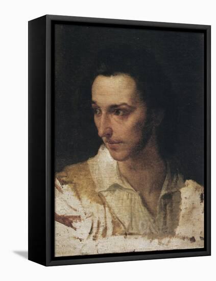 Portrait of Count Alfonso Schiaffinati Porro, 1821-Francesco Hayez-Framed Premier Image Canvas