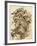 Portrait of Count Karl Joseph Von Firmian-null-Framed Giclee Print