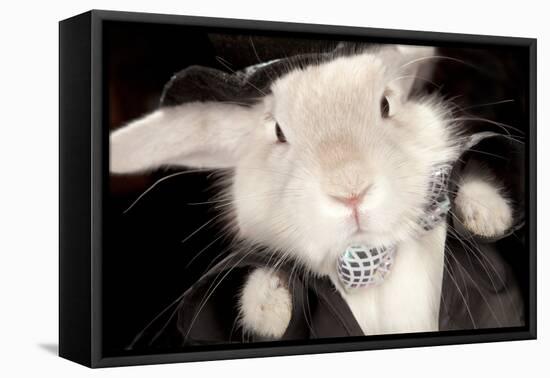 Portrait Of Cute Rabbit In Top Hat And Bow-Tie. Isolated On Dark Background-PH.OK-Framed Premier Image Canvas