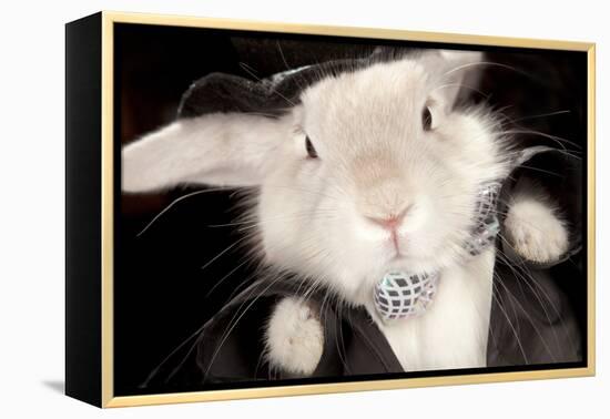 Portrait Of Cute Rabbit In Top Hat And Bow-Tie. Isolated On Dark Background-PH.OK-Framed Premier Image Canvas