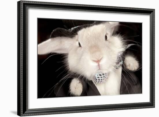 Portrait Of Cute Rabbit In Top Hat And Bow-Tie. Isolated On Dark Background-PH.OK-Framed Photographic Print