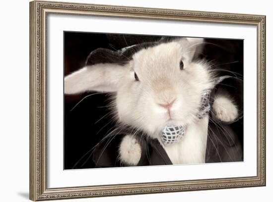 Portrait Of Cute Rabbit In Top Hat And Bow-Tie. Isolated On Dark Background-PH.OK-Framed Photographic Print