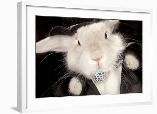 Portrait Of Cute Rabbit In Top Hat And Bow-Tie. Isolated On Dark Background-PH.OK-Framed Photographic Print