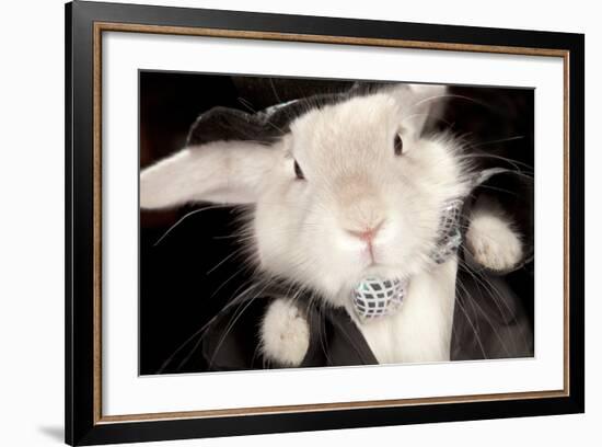 Portrait Of Cute Rabbit In Top Hat And Bow-Tie. Isolated On Dark Background-PH.OK-Framed Photographic Print