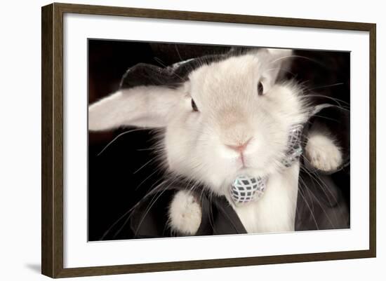 Portrait Of Cute Rabbit In Top Hat And Bow-Tie. Isolated On Dark Background-PH.OK-Framed Photographic Print