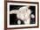 Portrait Of Cute Rabbit In Top Hat And Bow-Tie. Isolated On Dark Background-PH.OK-Framed Photographic Print